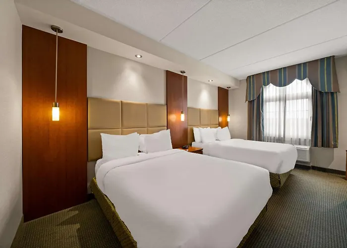 Superior Quadruple Suite