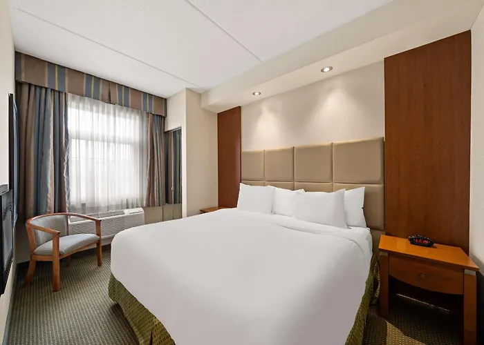 Superior King Suite